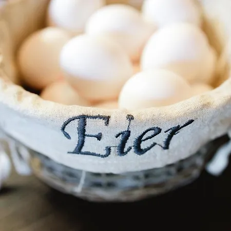 Fliegerhorst Vendégház Drezda