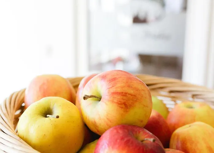 Fliegerhorst Гостевой дом 3*